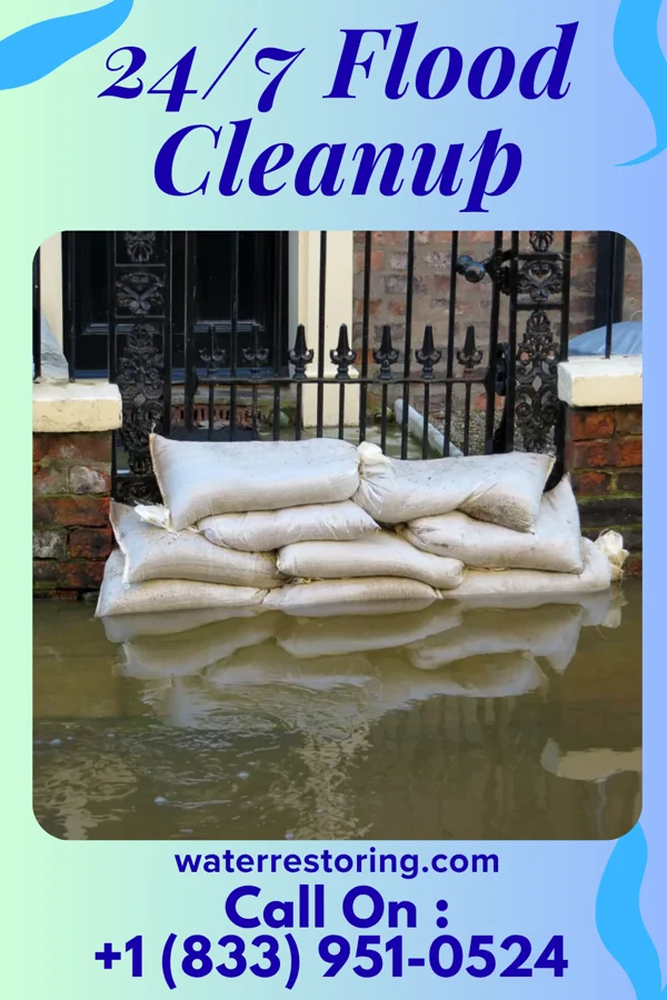 24/7 Flood Cleanup in Causey, NM