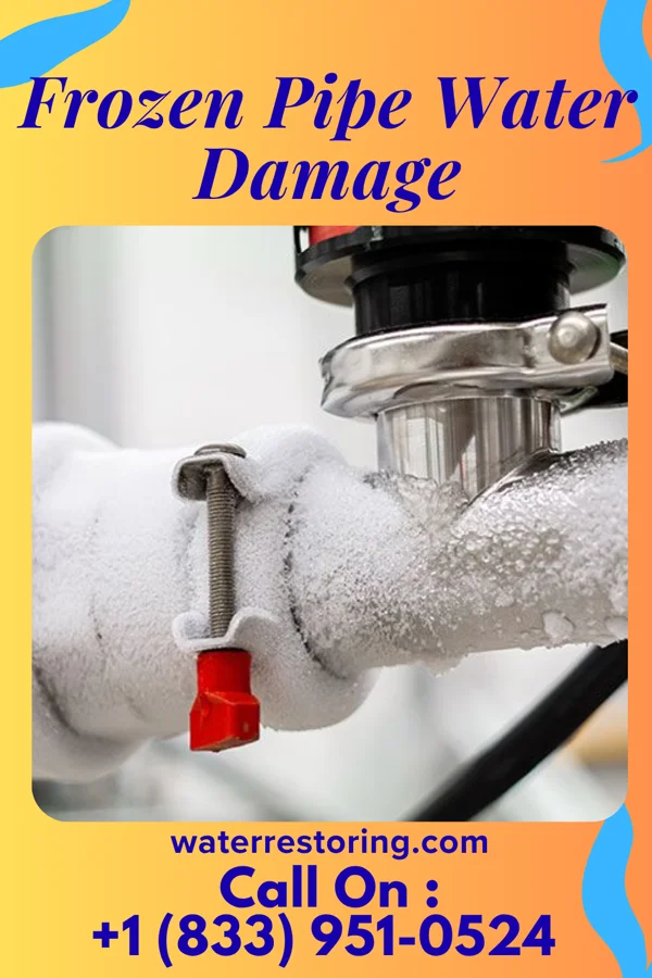 Frozen Pipe Water Damage in Causey, NM