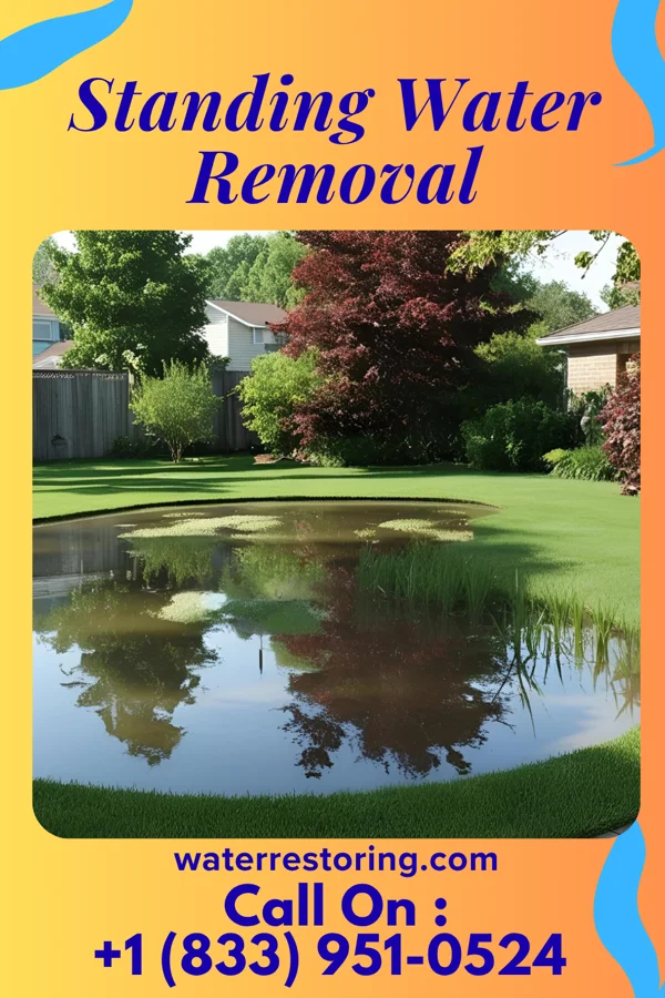 Standing Water Removal in Causey, NM